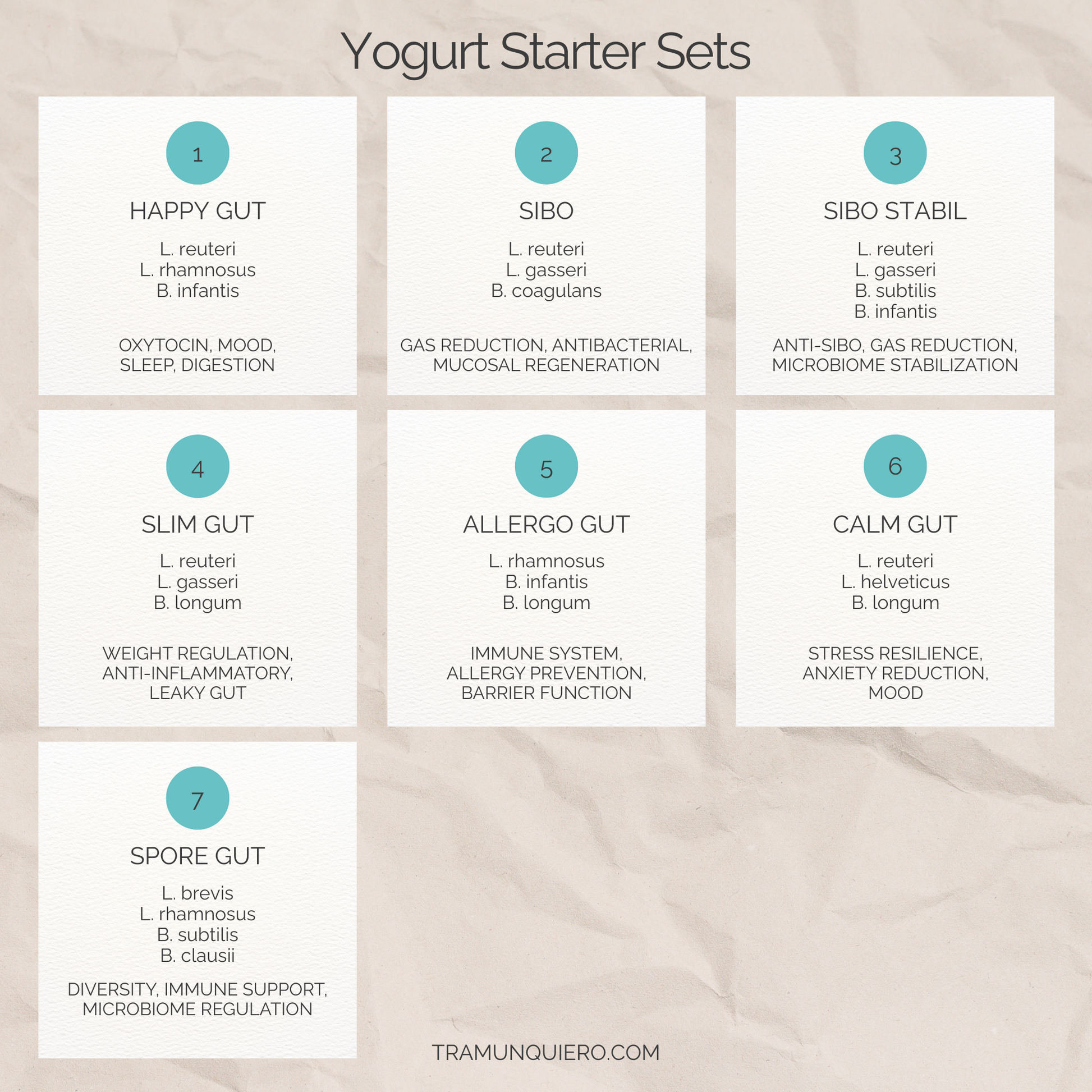 Set Starter Yogurt L. reuteri, L. gasseri, B. coagulans | Yogurt SIBO